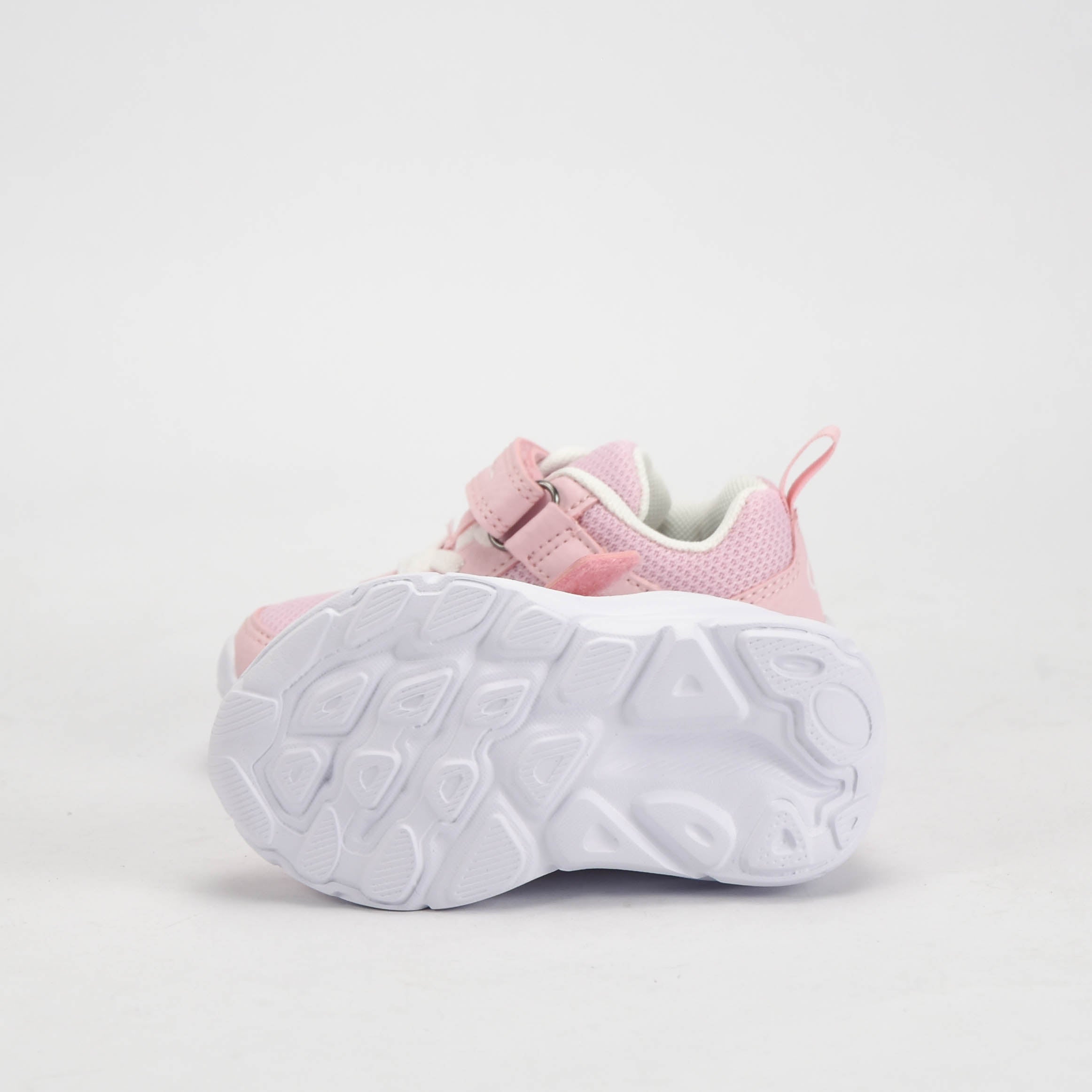 CHAMPION BASKET
