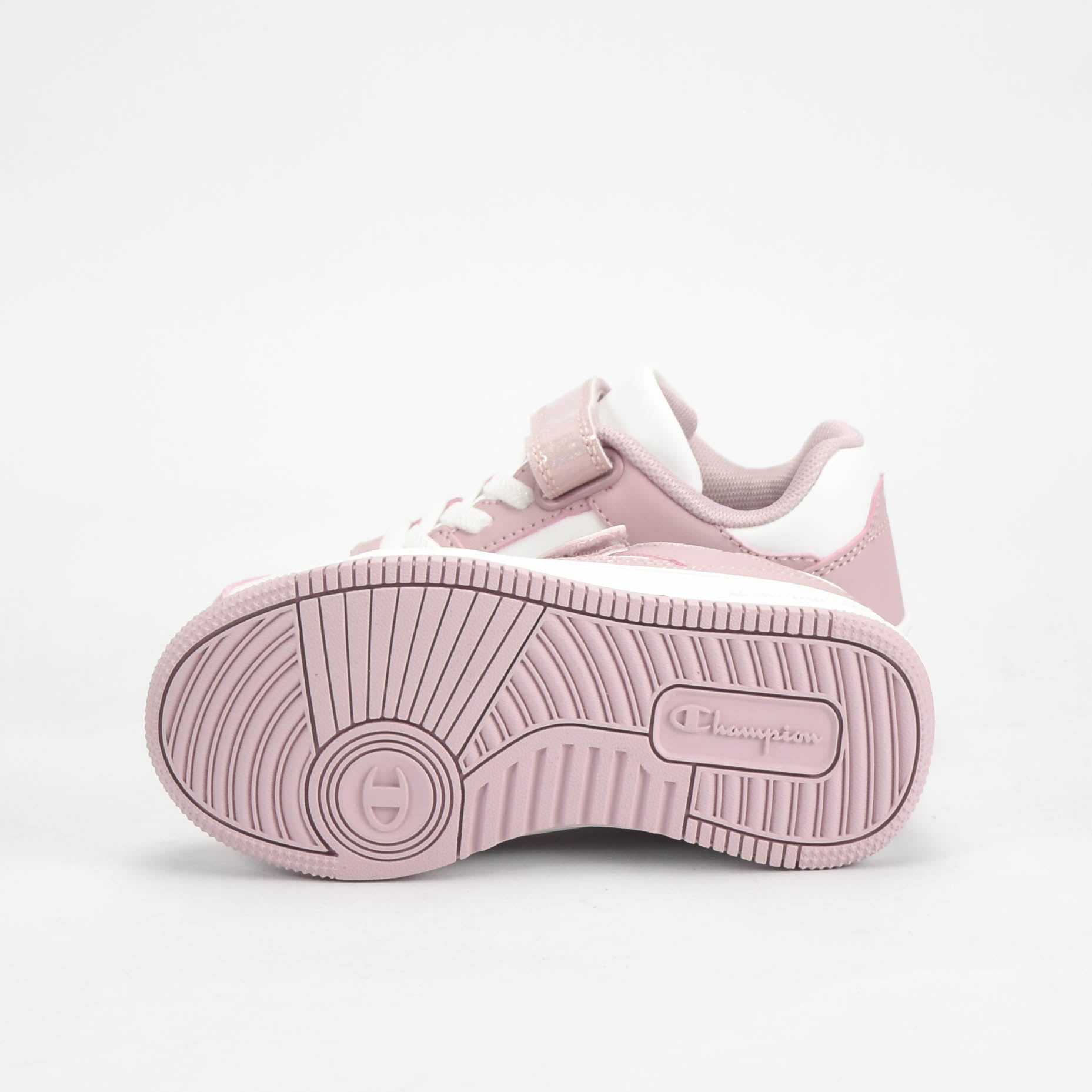 CHAMPION BASKET
