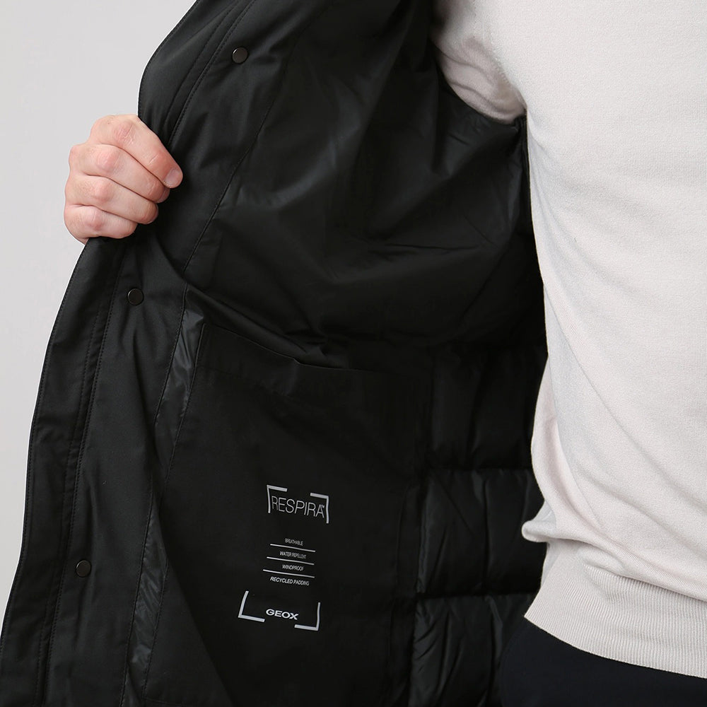 Veste GEOX HOMME