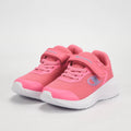 CHAMPION BASKET