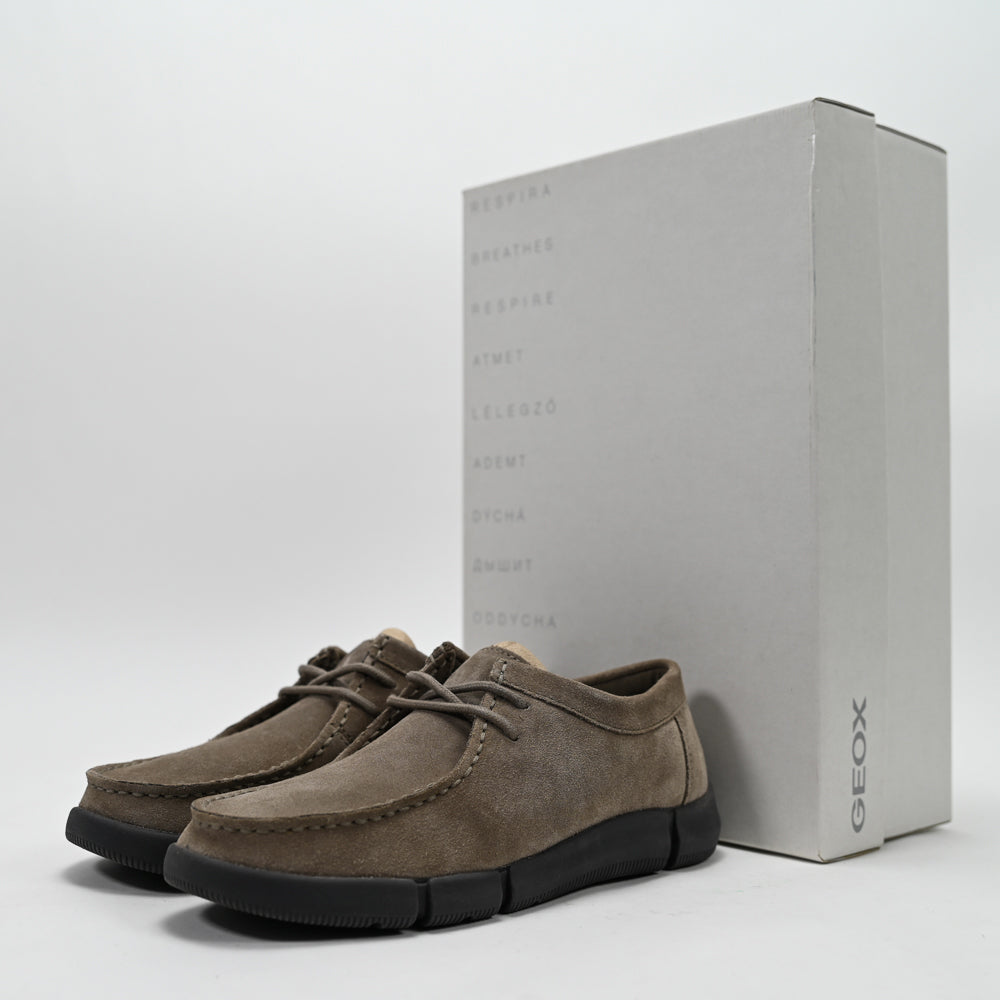 Geox Adacter M B Suede Men's Shoes